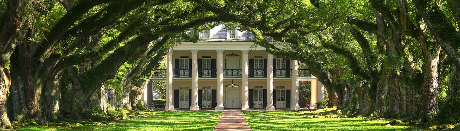 Two Story white columned plantation house at the end of  a long lane with two rows of trees meeting together over the top of the lane