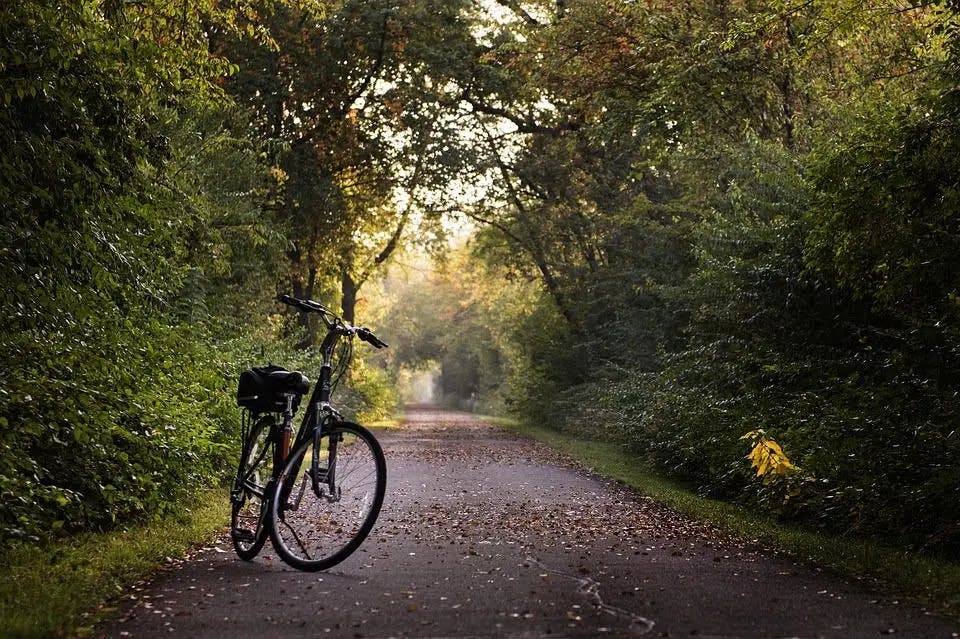 bicycle next to a wooded riding trail