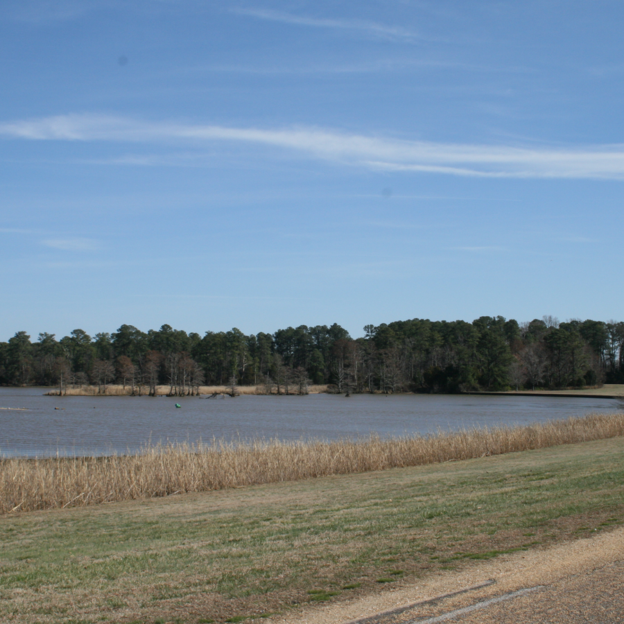 Island image with water, and green grass