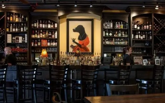 A stylish bar interior with shelves lined with liquor and a large painting of a dog in a tuxedo holding a martini.