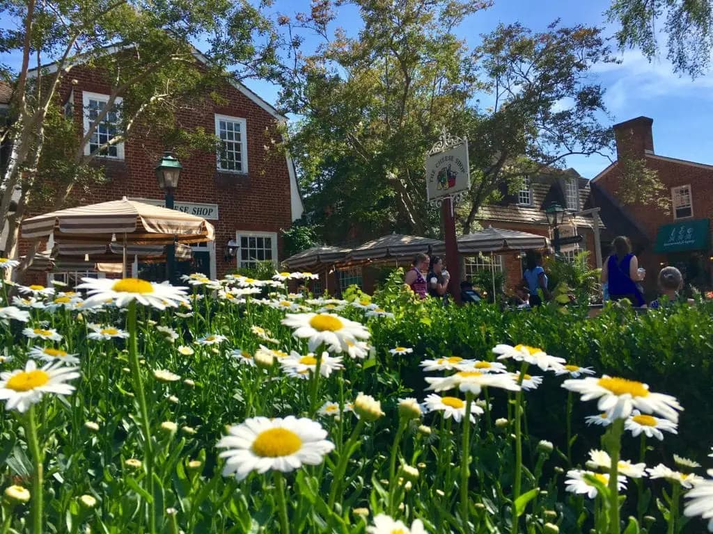 A vibrant scene with daisies in the foreground and outdoor dining at quaint shops under clear blue skies. A vibrant scene with daisies in the foreground and outdoor dining at quaint shops under clear blue skies.