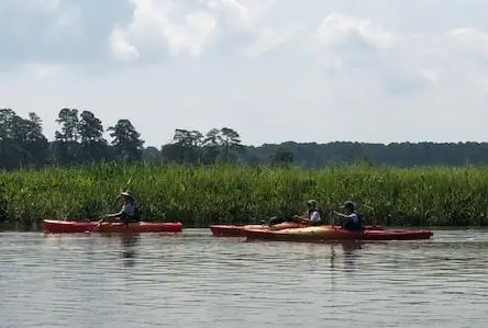 Two people kayaking on a calm river surrounded by green reeds under a cloudy sky.
