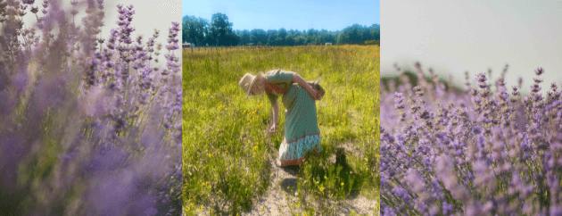 A woman in a green dress bends down to pick flowers in a sunlit field surrounded by lavender blooms.