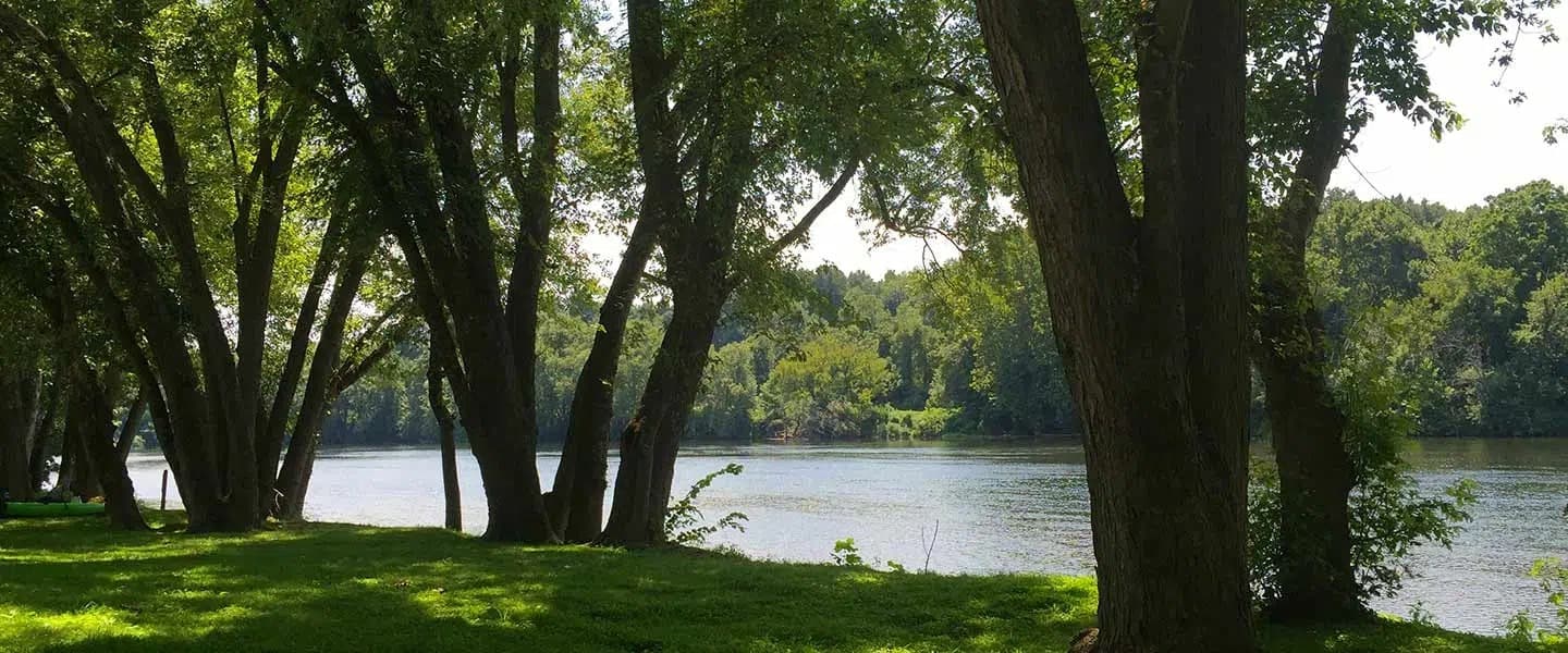 A peaceful riverside scene with lush green trees and calm water.