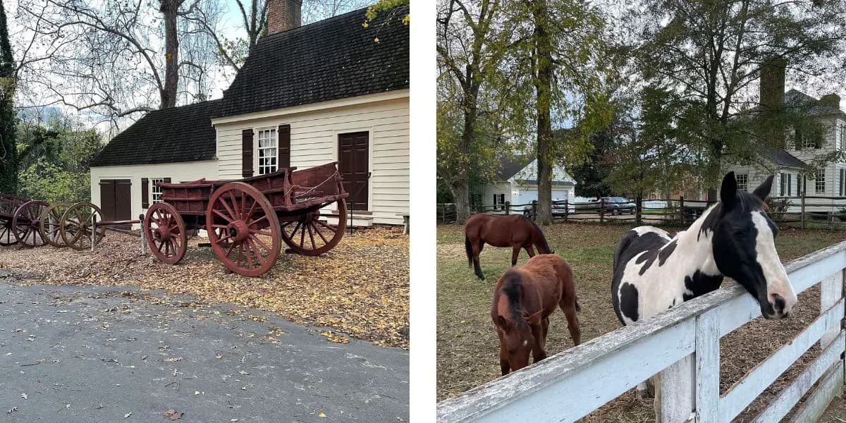 A wooden wagon sits by a historic building on the left, while three horses, including a black-and-white one, are seen behind a fence on the right.