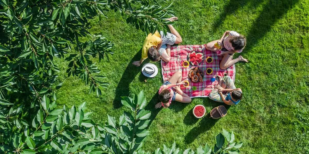 Aerial view of four people enjoying a picnic on a blanket in a grassy area, surrounded by greenery.