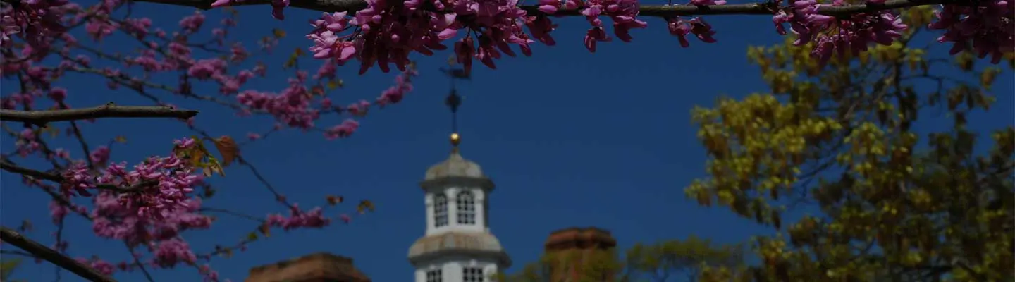 Pink blossoms frame a view of a building under a clear blue sky.
