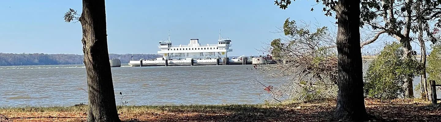 A ferry is docked on a river, viewed through trees on a sunny day. A ferry is docked on a river, viewed through trees on a sunny day.
