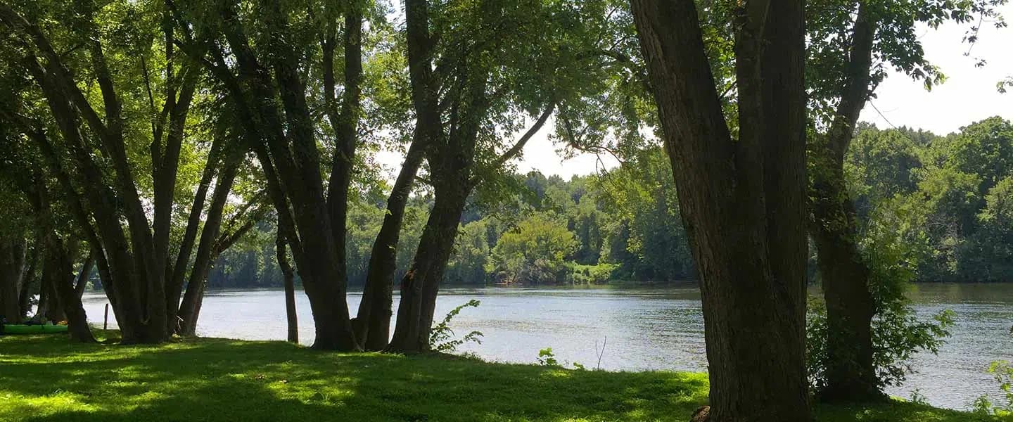 A serene river view framed by lush green trees. A serene river view framed by lush green trees.