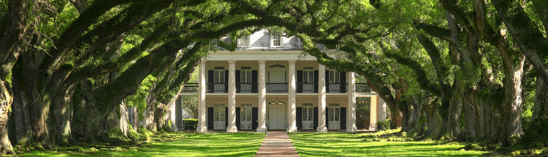 Two Story white columned plantation house at the end of a long lane with two rows of trees meeting together over the top of the lane