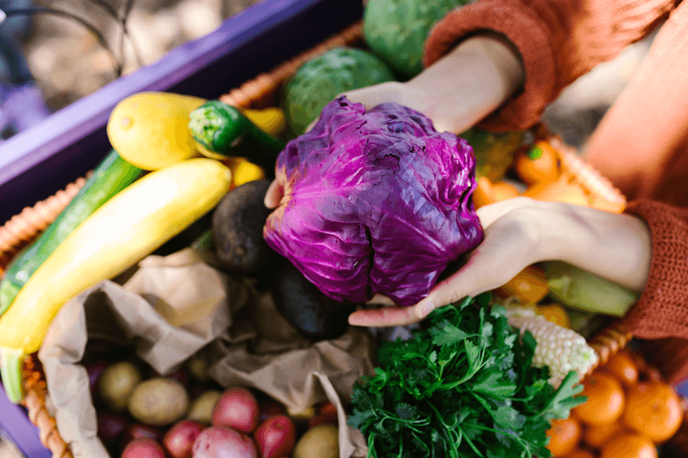 Woman holding head of purple cabbage over basket of vegetables
